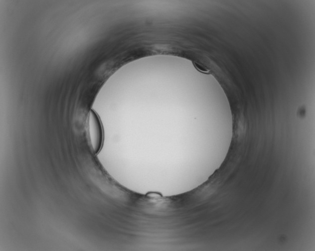 X0000116300478200912211905