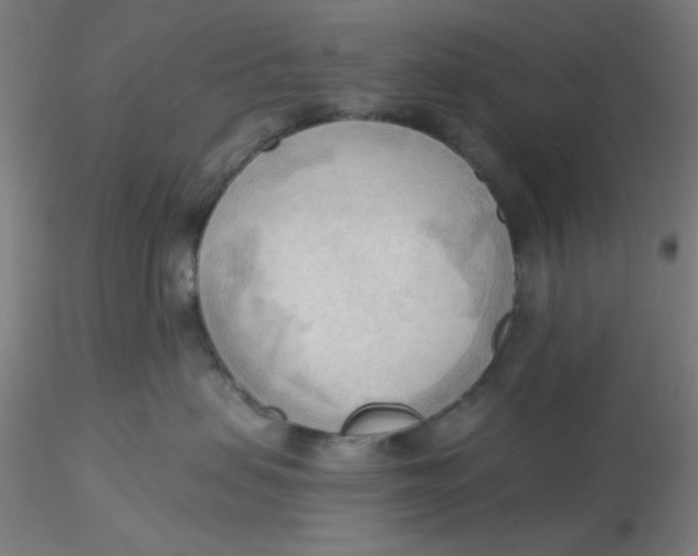 X0000116300479200912211905