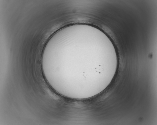 X0000116300481200912211905