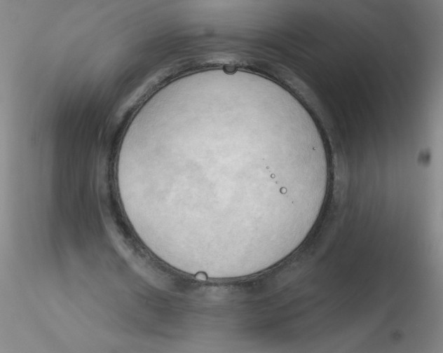 X0000116300482200912211904