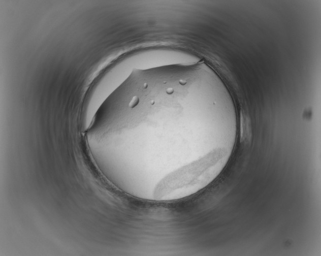 X0000116300483200912211904