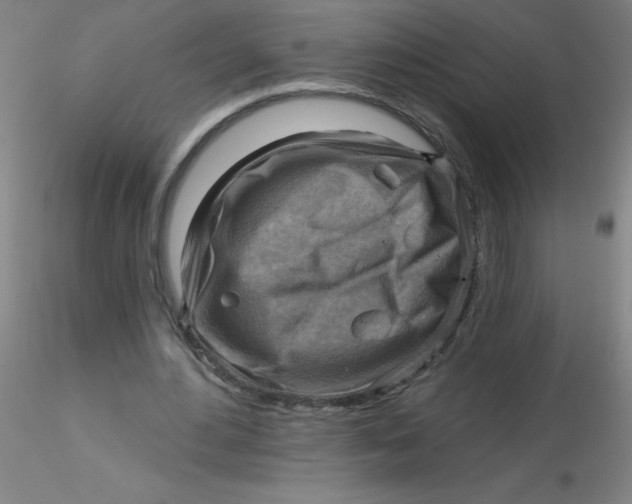 X0000116300484200912211904