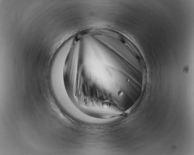 X0000116300485200912211904