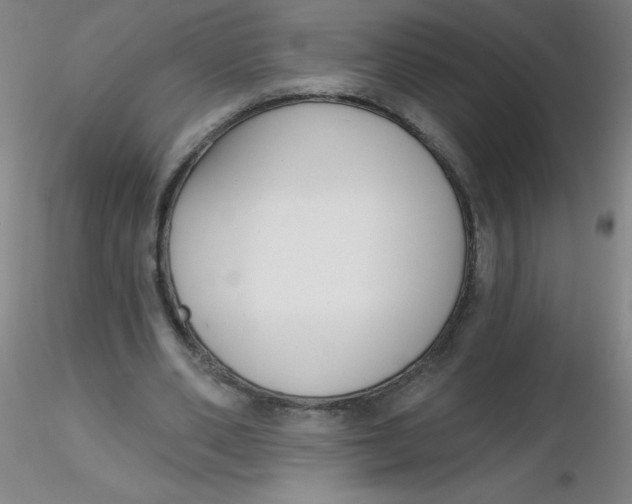 X0000116300486200912211904