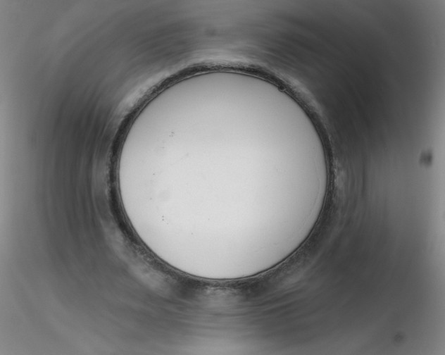 X0000116300487200912211904