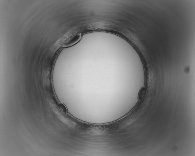 X0000116300489200912211904