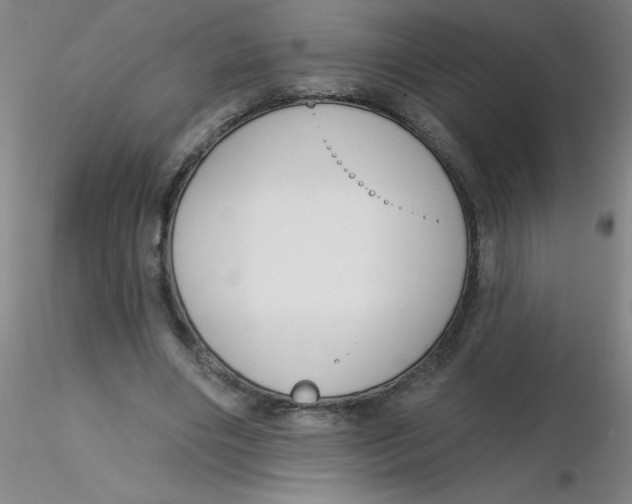 X0000116300490200912211904