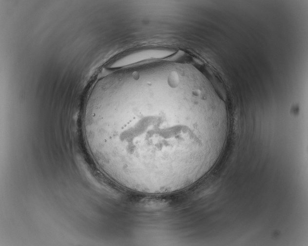 X0000116300491200912211904