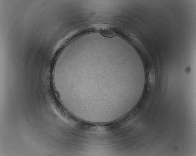 X0000116300492200912211904