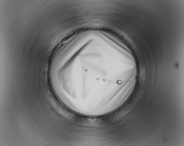 X0000116300493200912211904