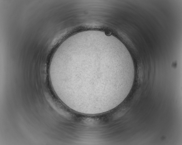 X0000116300494200912211904