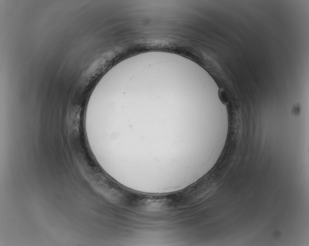 X0000116300495200912211904