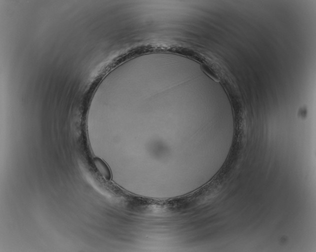 X0000116300496200912211904