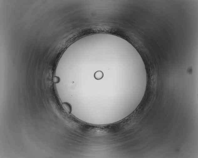 X0000116300498200912211904