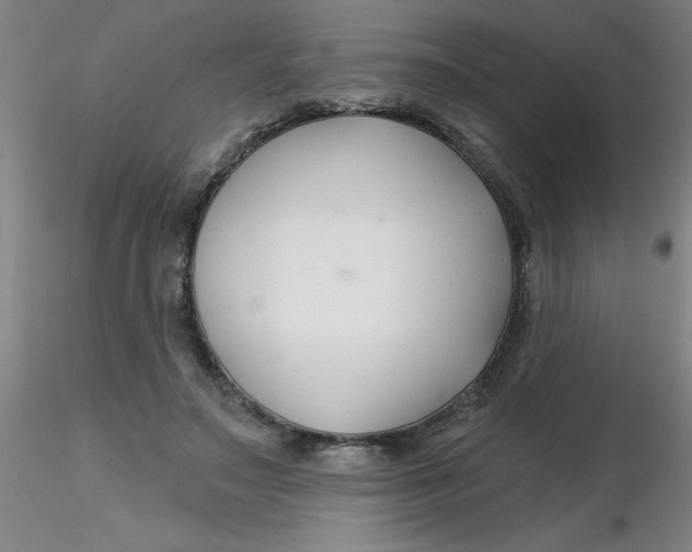 X0000116300499200912211904