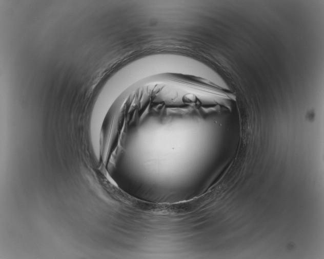 X0000116300500200912211904