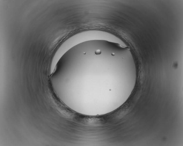 X0000116300501200912211904