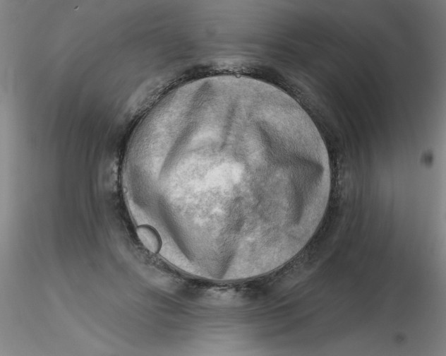 X0000116300502200912211904