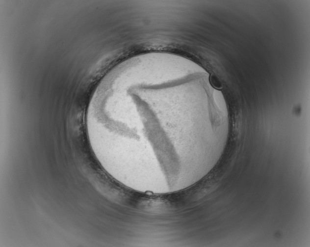 X0000116300503200912211904