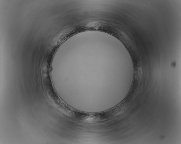 X0000116300504200912211904