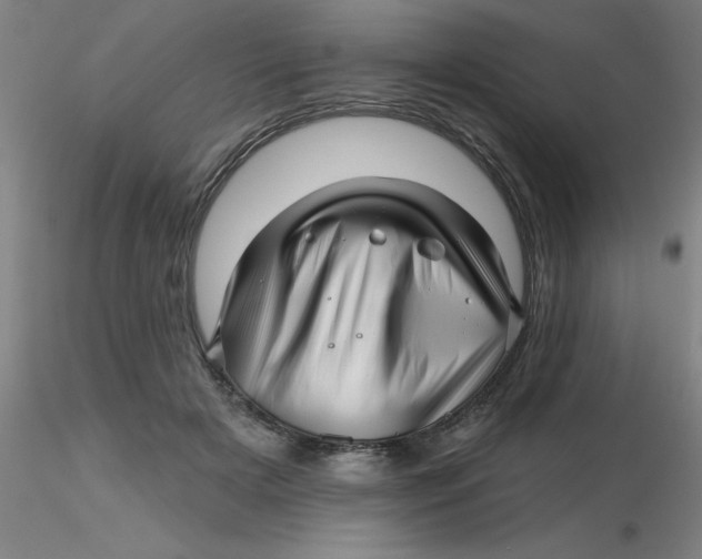 X0000116300505200912211904