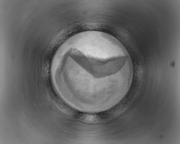 X0000116300507200912211904