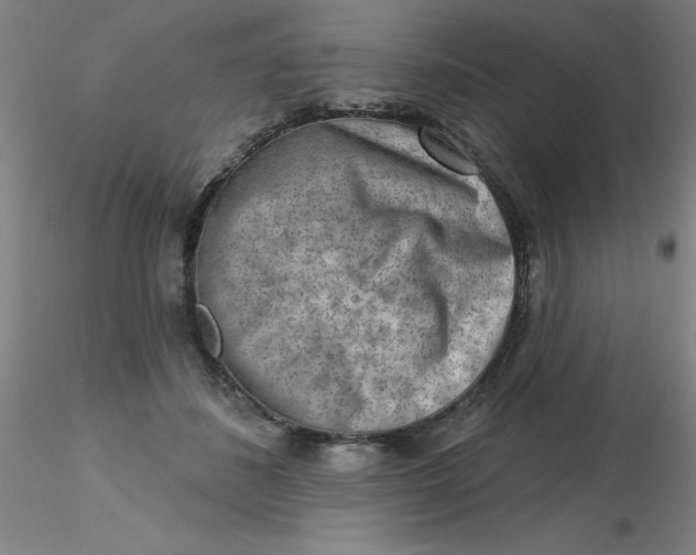 X0000116300508200912211904