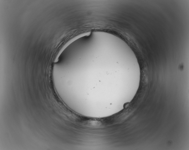 X0000116300509200912211904