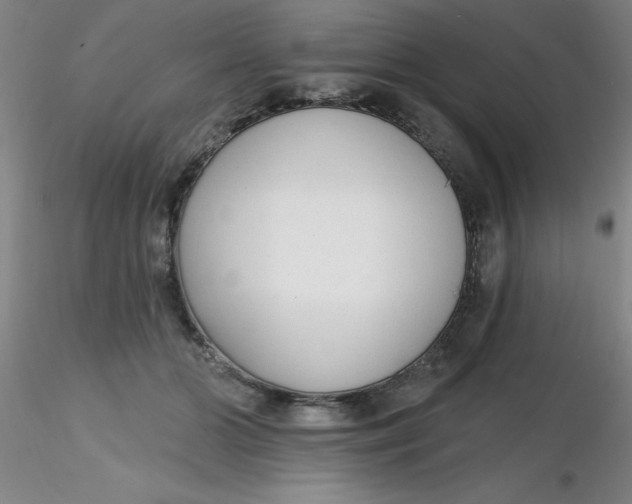 X0000116300510200912211904