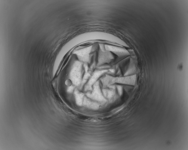 X0000116300512200912211904