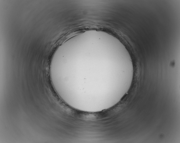 X0000116300513200912211904