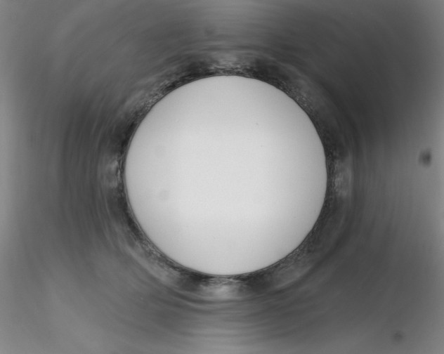 X0000116300514200912211904