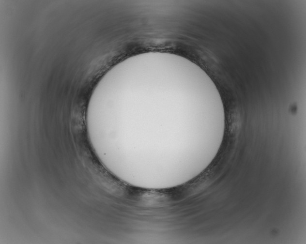 X0000116300515200912211904