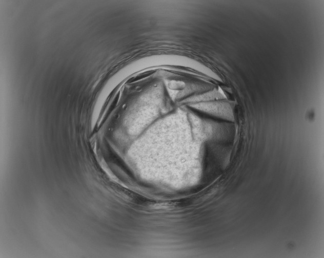 X0000116300516200912211904