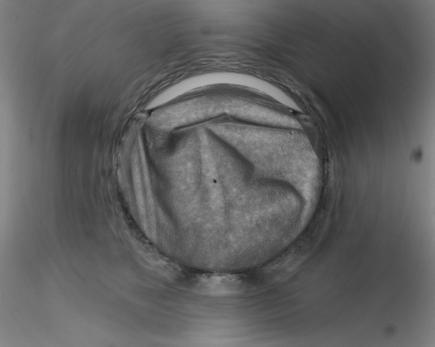 X0000116300517200912211904