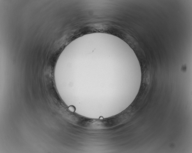 X0000116300518200912211904