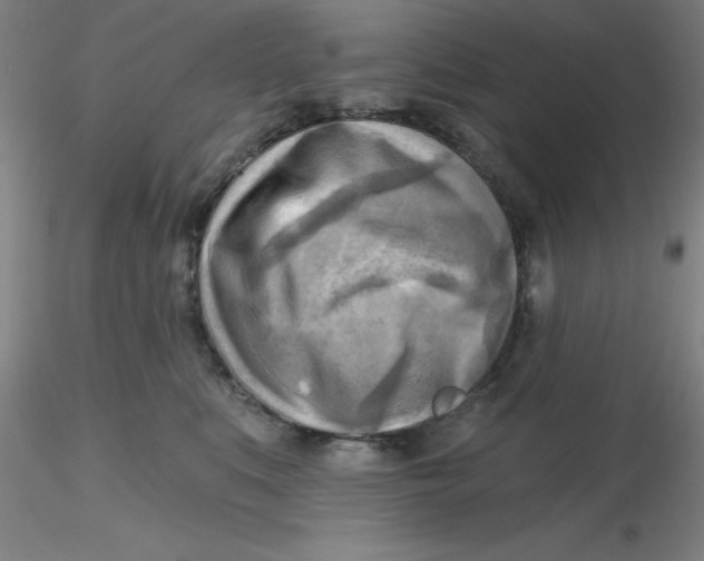 X0000116300519200912211904