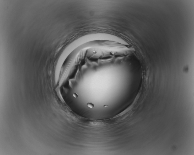 X0000116300520200912211904