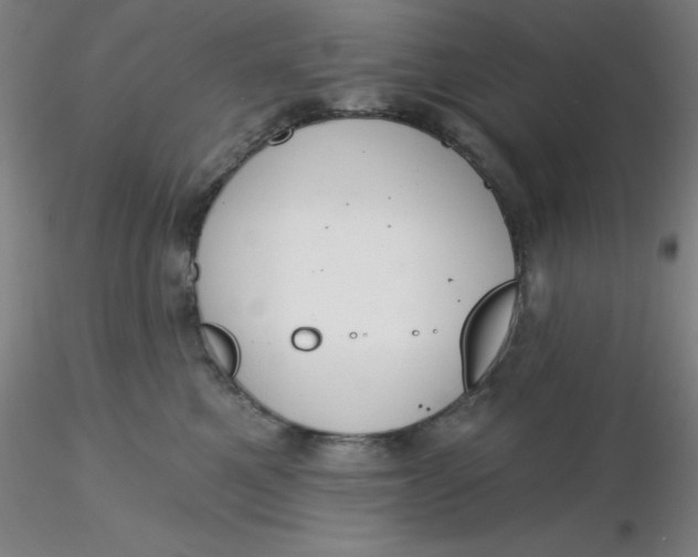 X0000116300521200912211904