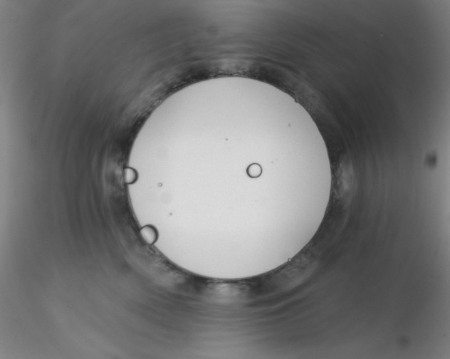 X0000116300522200912211904