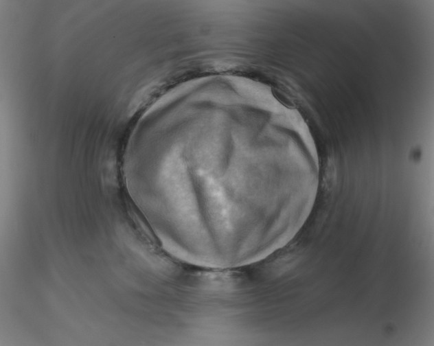 X0000116300524200912211904