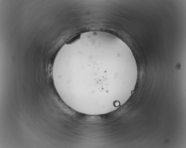 X0000116300525200912211904