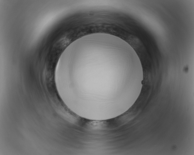 X0000116300526200912211904