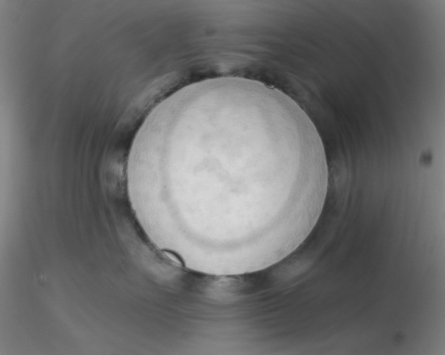 X0000116300527200912211904