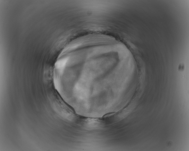 X0000116300528200912211904