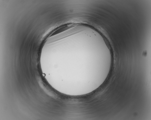 X0000116300530200912211903