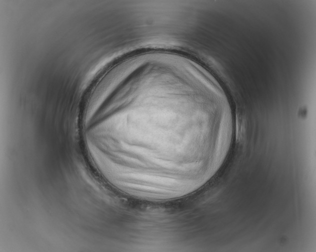 X0000116300531200912211903