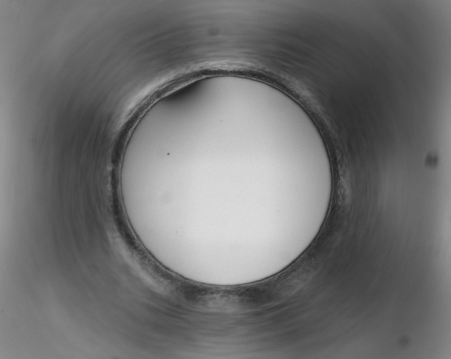 X0000116300535200912211903