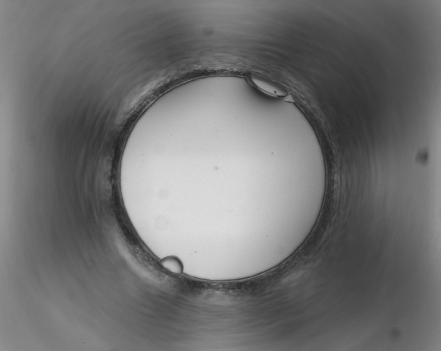 X0000116300538200912211903