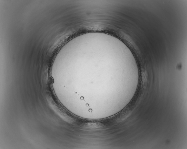 X0000116300541200912211903